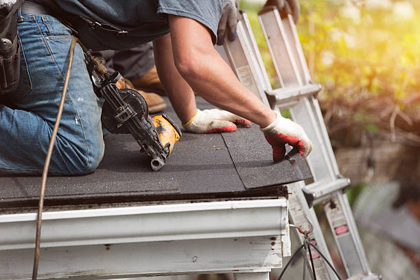 Best Shingle Roofing Installation  in Marquette, MI