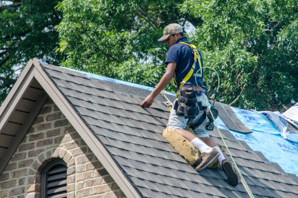 Best Metal Roofing Contractor  in Marquette, MI